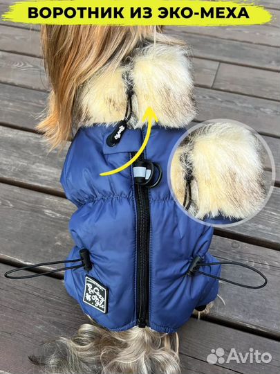 Комбинезон зимний для мелкой(средней) собаки