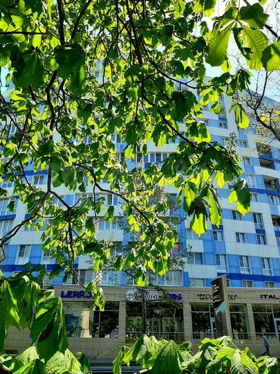 3-к. квартира, 76 м², 10/12 эт.