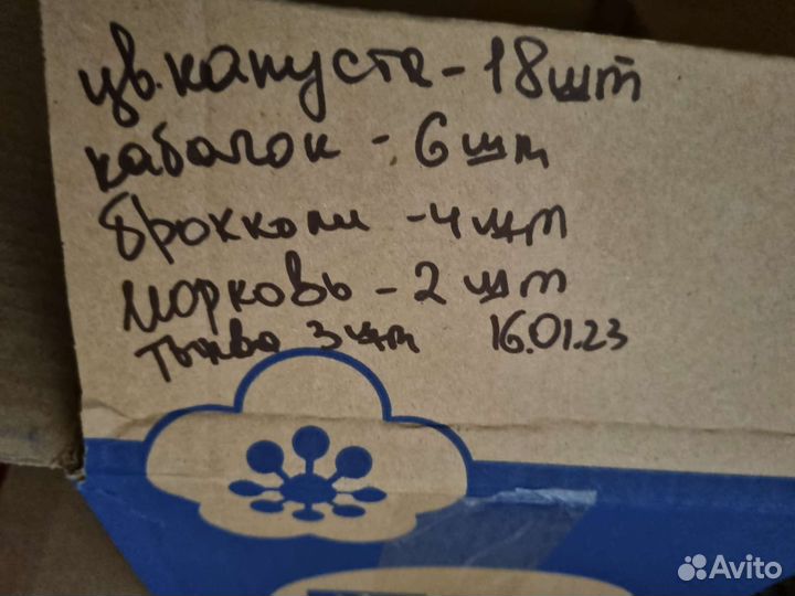 Детское овощное и фруктовое пюре