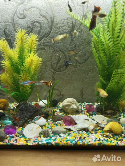 Украшение для аквариума