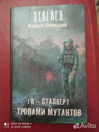 Серия Сталкер