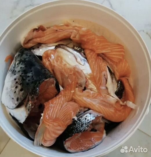 Суповой Набор для Ухи (Лосось)