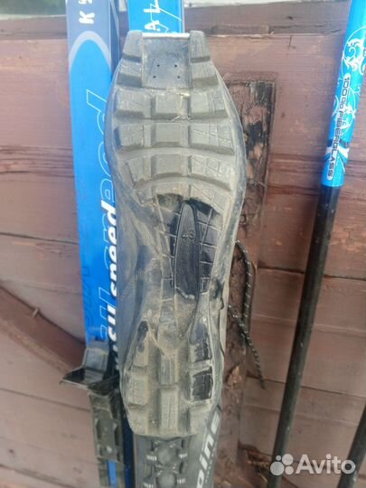 Беговые лыжи