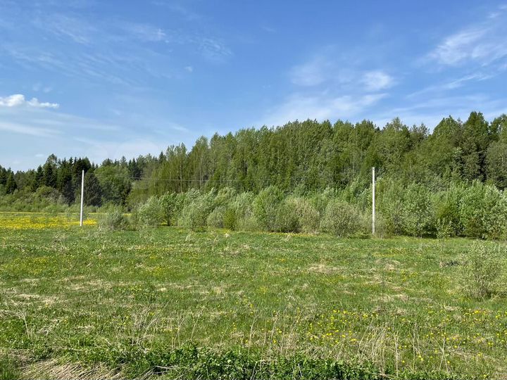 Участок 10 сот. (ИЖС)