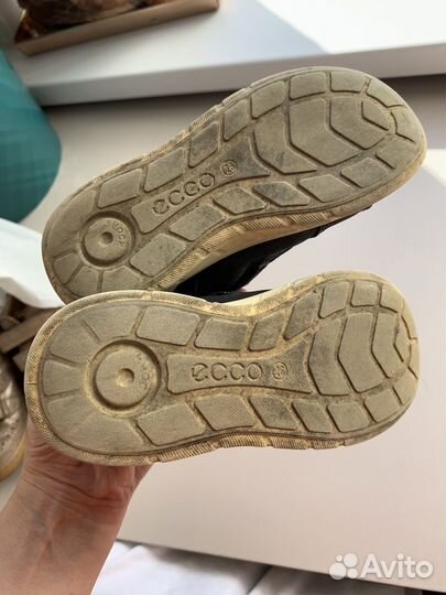 Ботинки демисезонные ecco 26