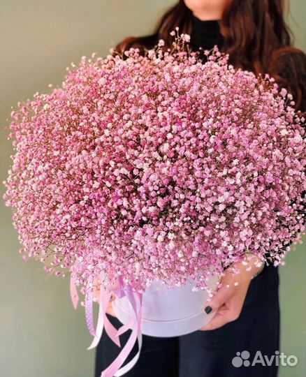 WOW Композиции-гиганты Гипсофилы