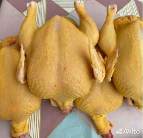 Куры (тушки) фермерские из Осетии