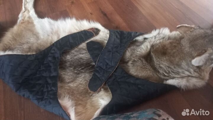 Шкура волка натуральная