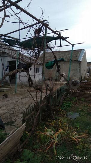 Дом 33,5 м² на участке 10 сот.