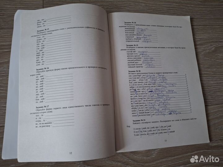 ВПР 5 класс русский язык+ Практикум по орфографии