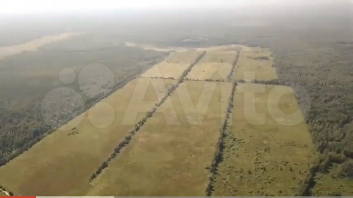 Участок 100 сот. (СНТ, ДНП)