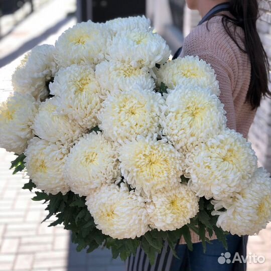 Букет из одноголовой Хризантем Букет Владимир
