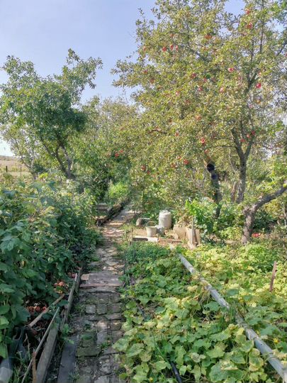 Дом 93 м² на участке 20 сот.