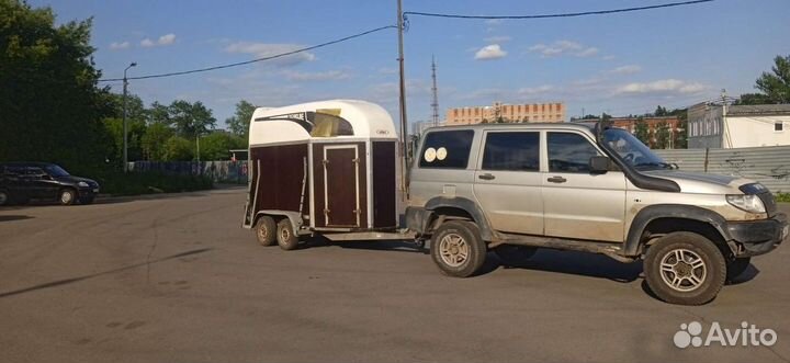 Конеперевозка, перевозка коров