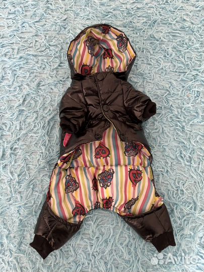 Костюм для собаки