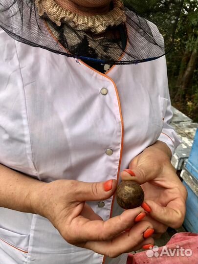 Мед натуральный с личной пасеки