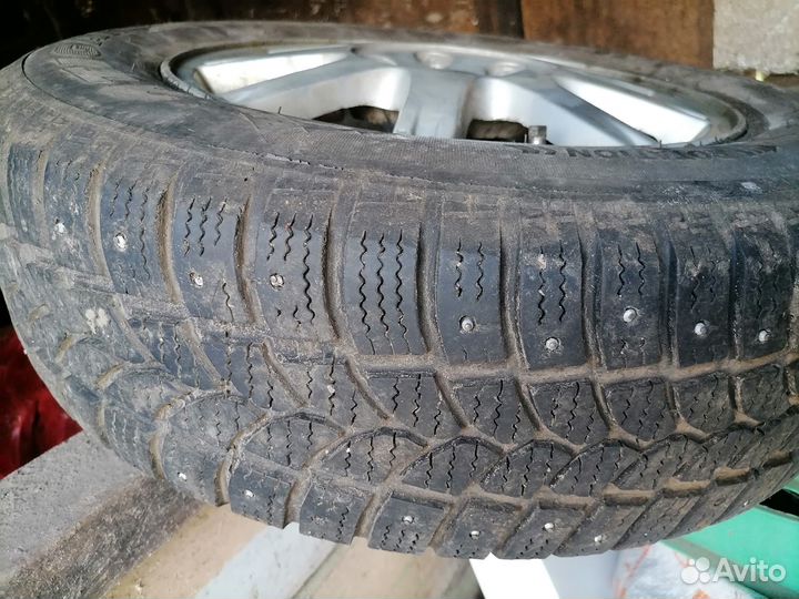 Tigar Sigura Stud 195/65 R15