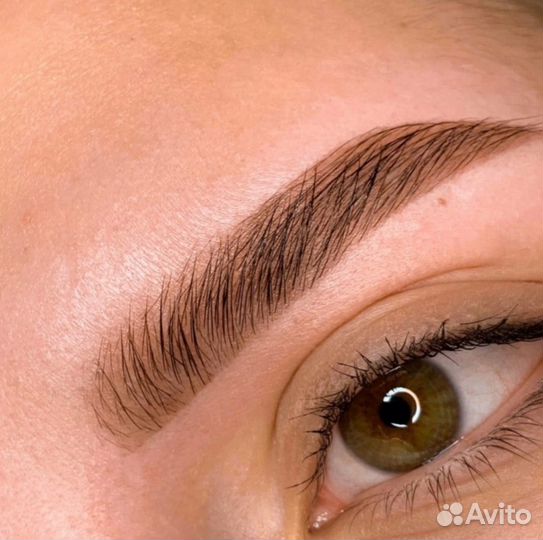 Обучение на бровиста