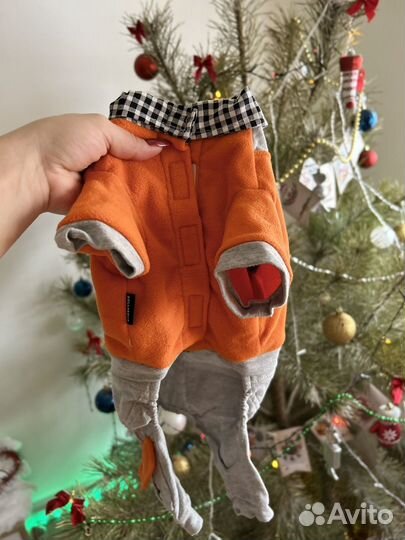 Одежда доя собак