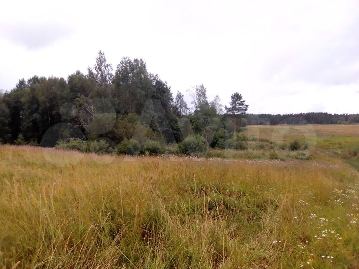 Участок 3,6 га (СНТ, ДНП)