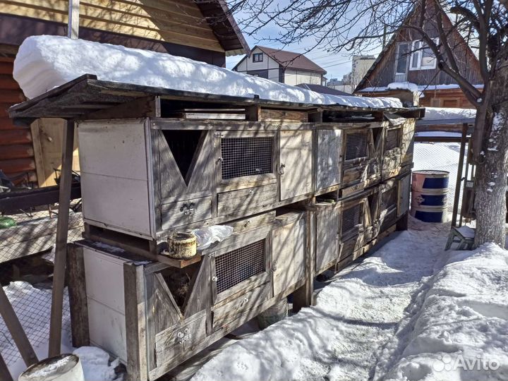 Клетки для кроликов