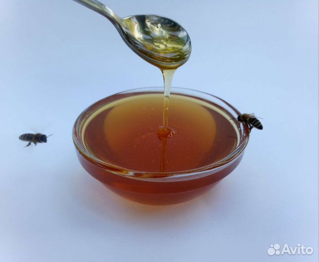 Мёд 2023 (Разнотравье с гречихой)