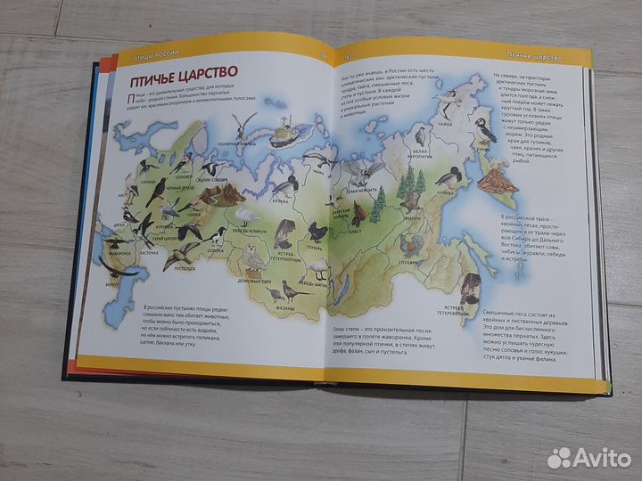 Большая детская энциклопедия