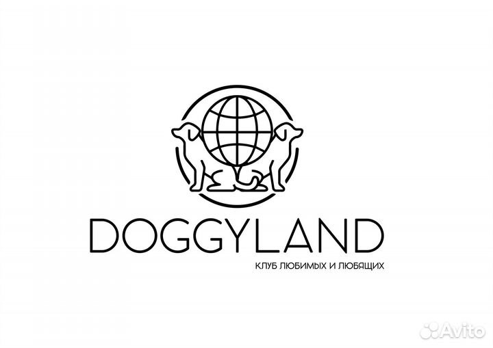 Дрессировка собак. Кинолог. Зооцентр doggyland