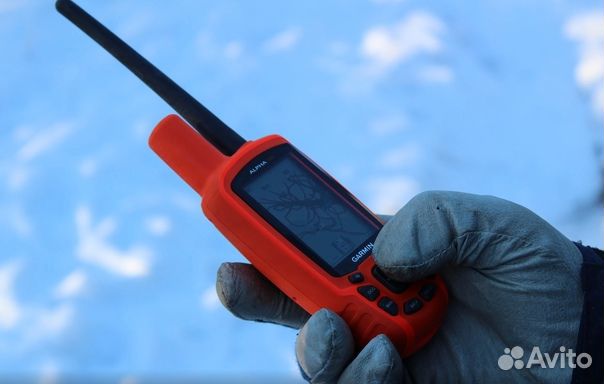 Garmin Alpha 50 без ошейника +карта Топо РФ