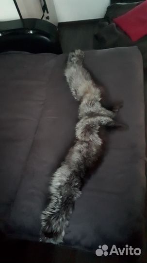 Воротник чернобурка большой