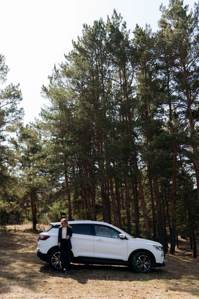 Geely Coolray: фото владельца