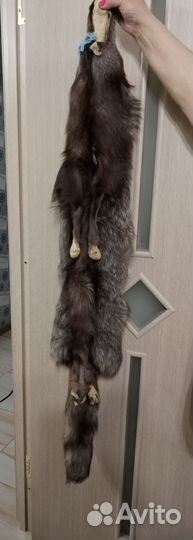 Шкура песца