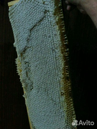 Мёд цветочный.мед