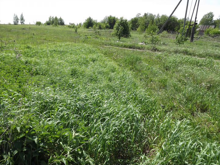 Участок 25 сот. (ИЖС)