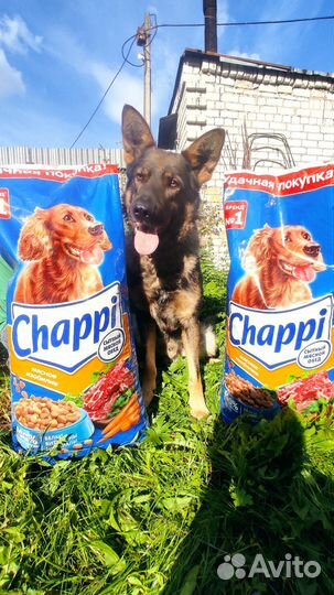 Сухой корм для собак чаппи 15 кг/еда для собак