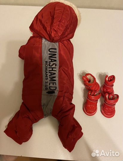 Комбинезон для собаки девочки