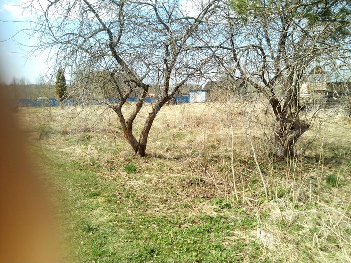 Участок 24 сот. (ИЖС)