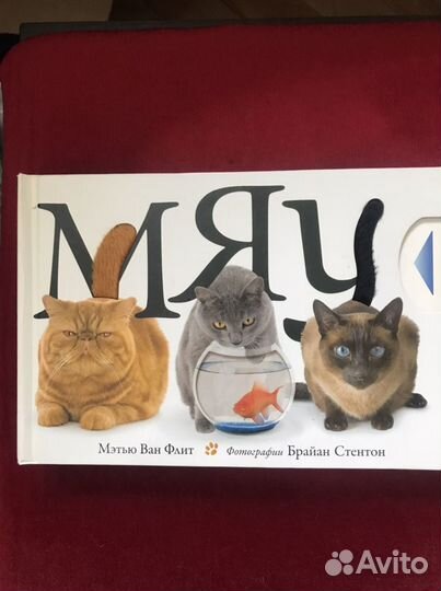 Книга мяу