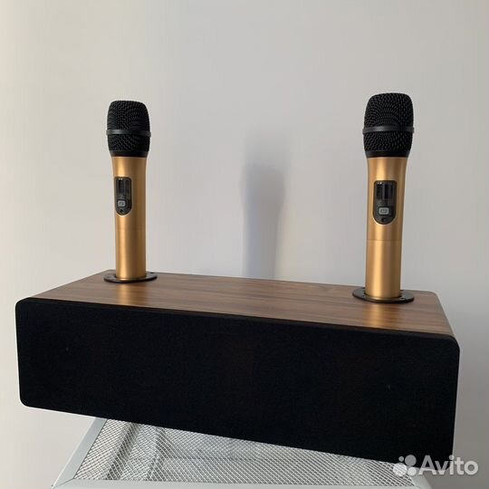 Караоке система для дома колонка для телевизора