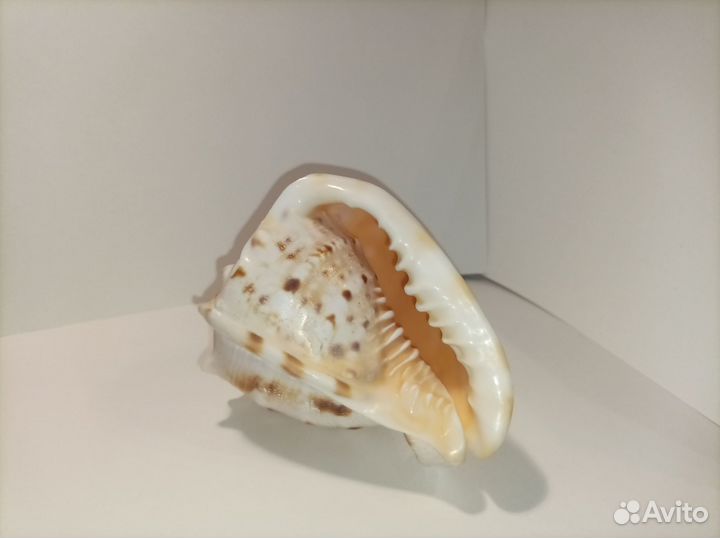 Сувениры для дома