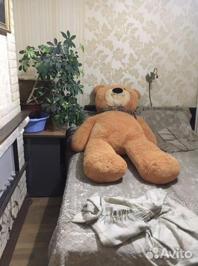 Огромный Мишка