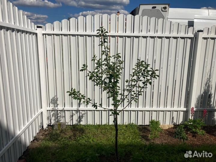 Забор из евроштакетника под ключ