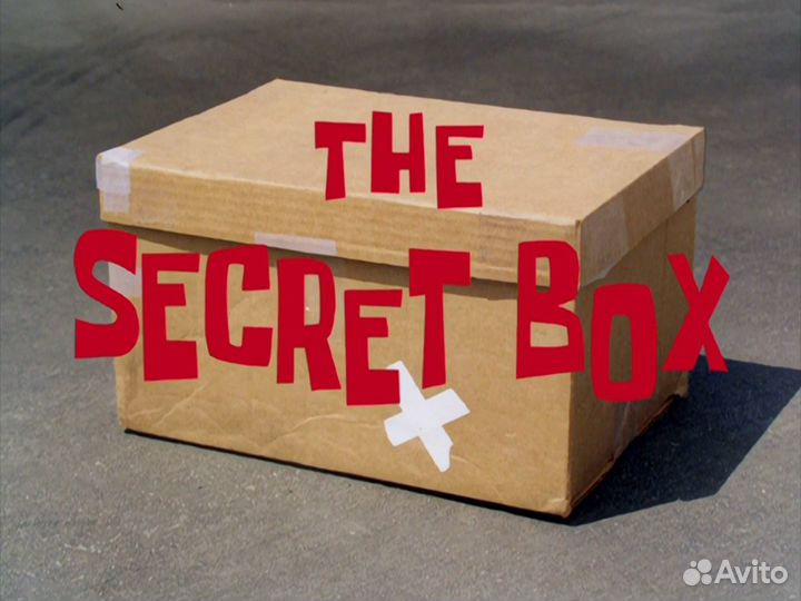 Secret box husky