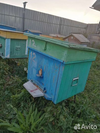 Улей с пчелами