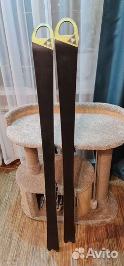 Горные лыжи спортцех