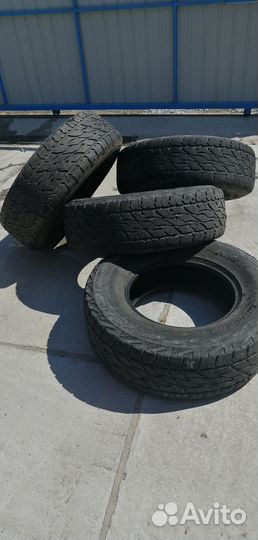 Bridgestone Blizzak DM-V1 265/65 R16