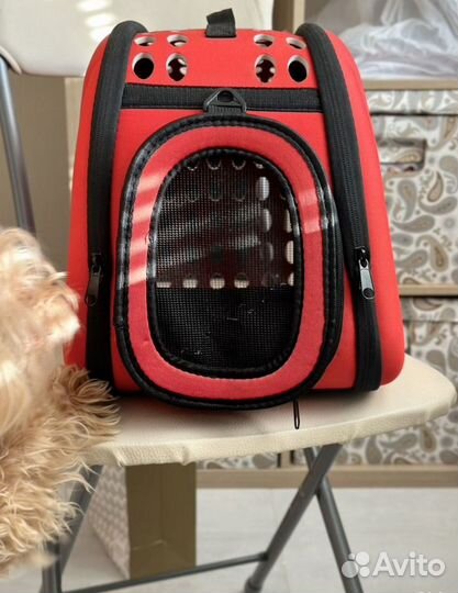 Сумка-переноска для собак