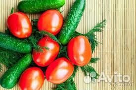Сотрудник в теплицу. Вахта