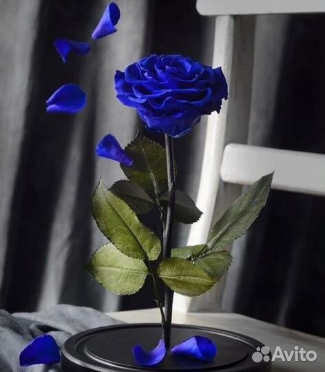 Живая Роза в колбе в стиле «Красавицы и чудовища