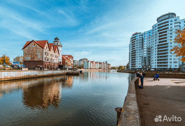 Обзорная по Калининграду с органным концертом